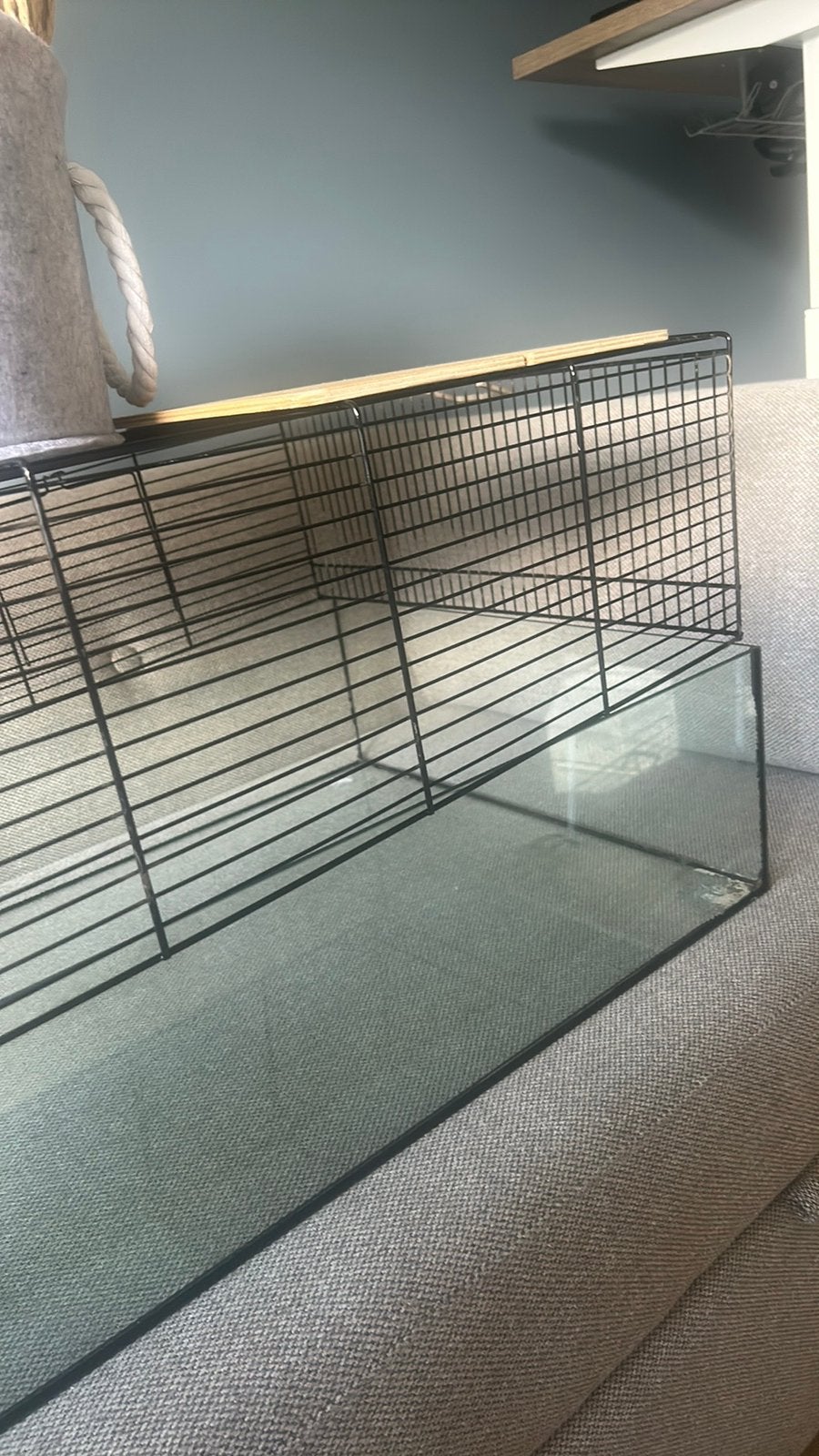 Nette glazen hamsterkooi, Dieren en Toebehoren, Knaagdieren en Konijnen | Hokken en Kooien, Ophalen, Gebruikt, Kooi, Hamster