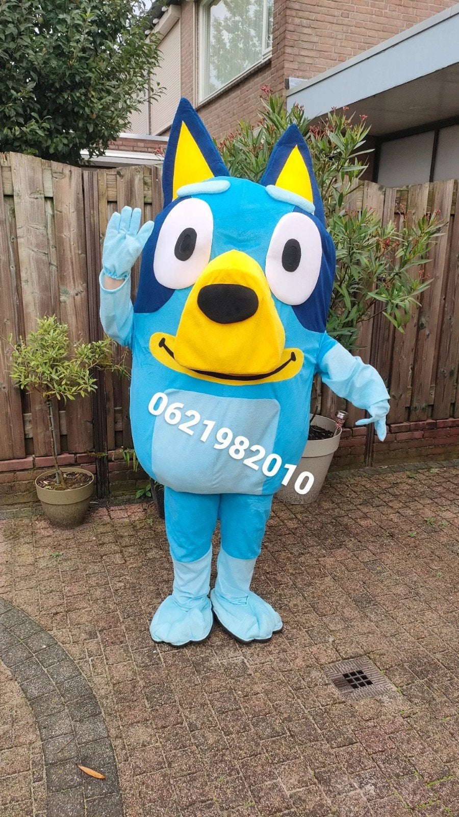Mascotte pak van bluey te huur, Ophalen of Verzenden, Zo goed als nieuw, Overige