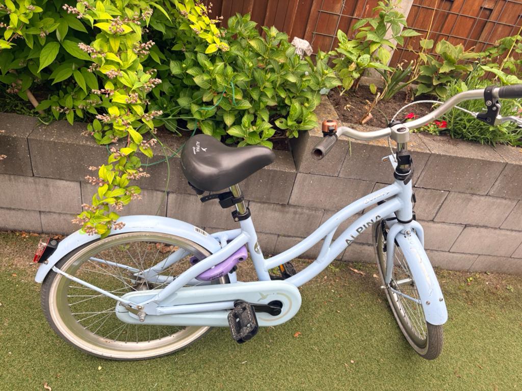 Alpina 20” fiets, Ophalen, Gebruikt, Terugtraprem, 20 inch