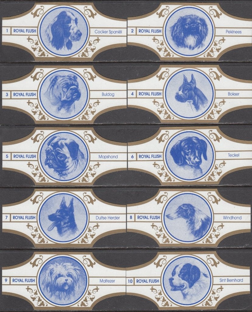 Sigarenbanden met Honden, Royal Flush 1-10 wit-goud, Ophalen of Verzenden, Nieuw, Sigarenbandjes