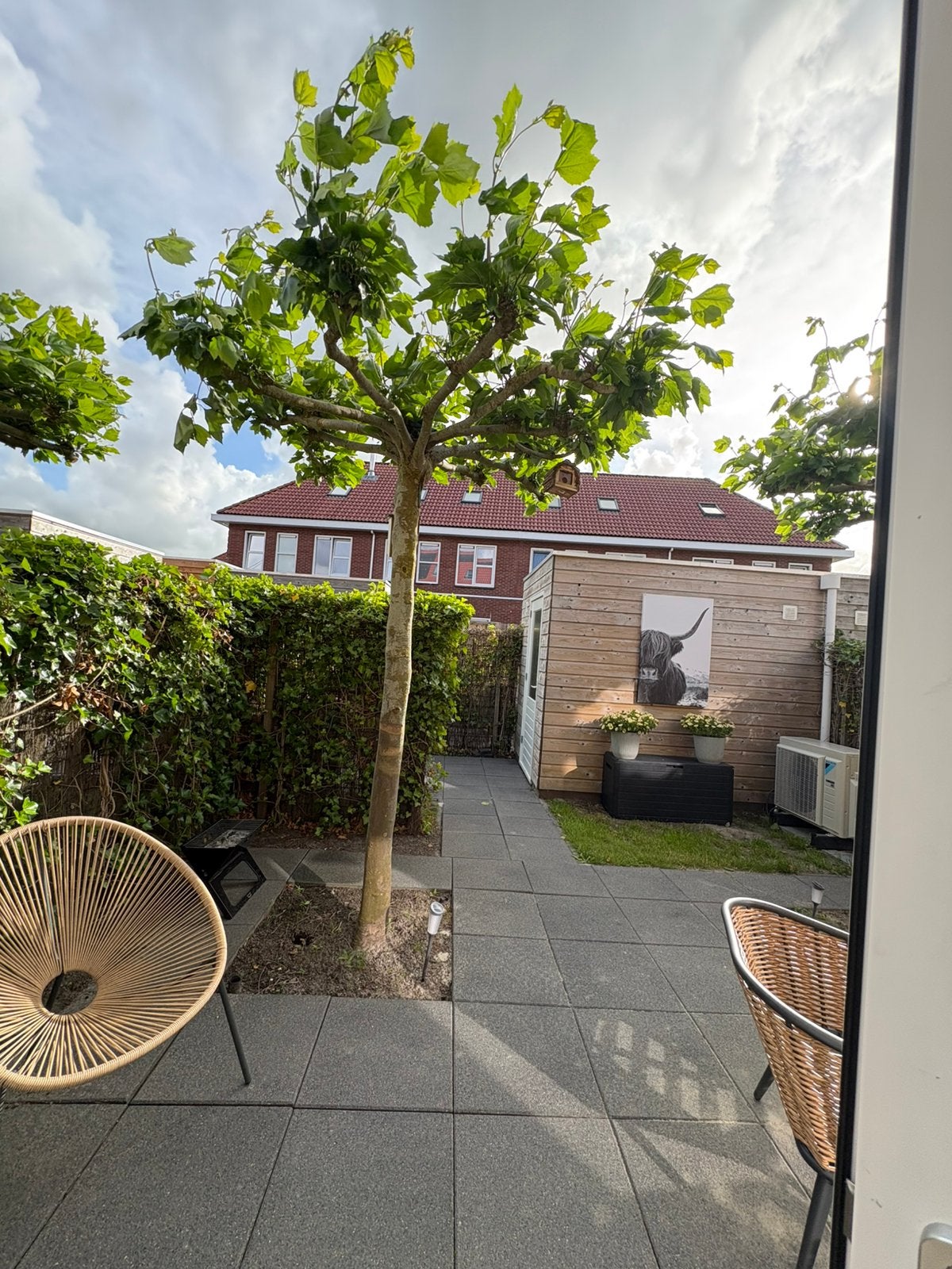 Dakplantanen, Tuin en Terras, Ophalen