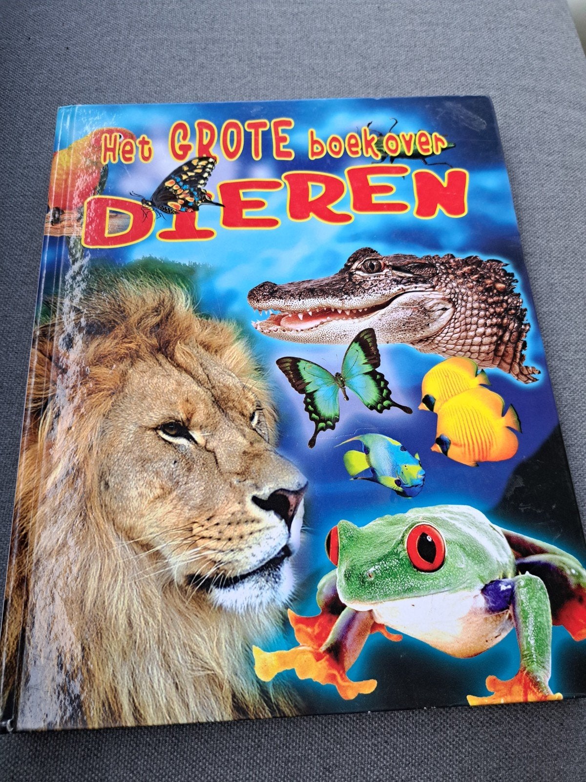 YHet Grote Boek over Dieren - Encyclopedie voor Kinderen, Ophalen of Verzenden
