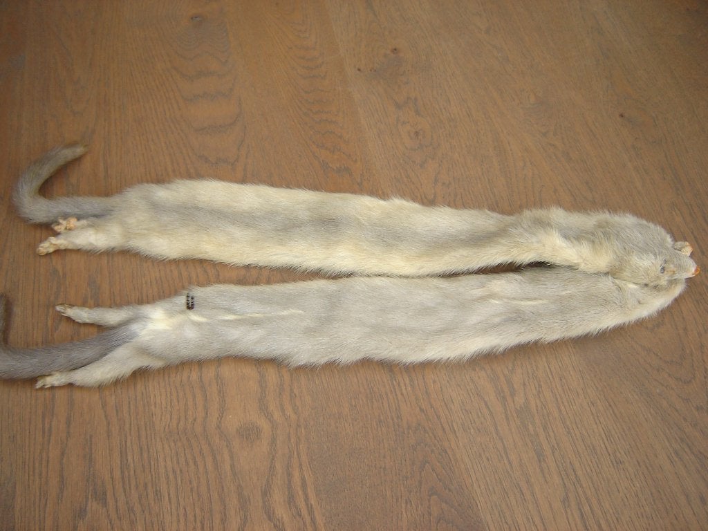 NERTS !!!!, Ophalen of Verzenden