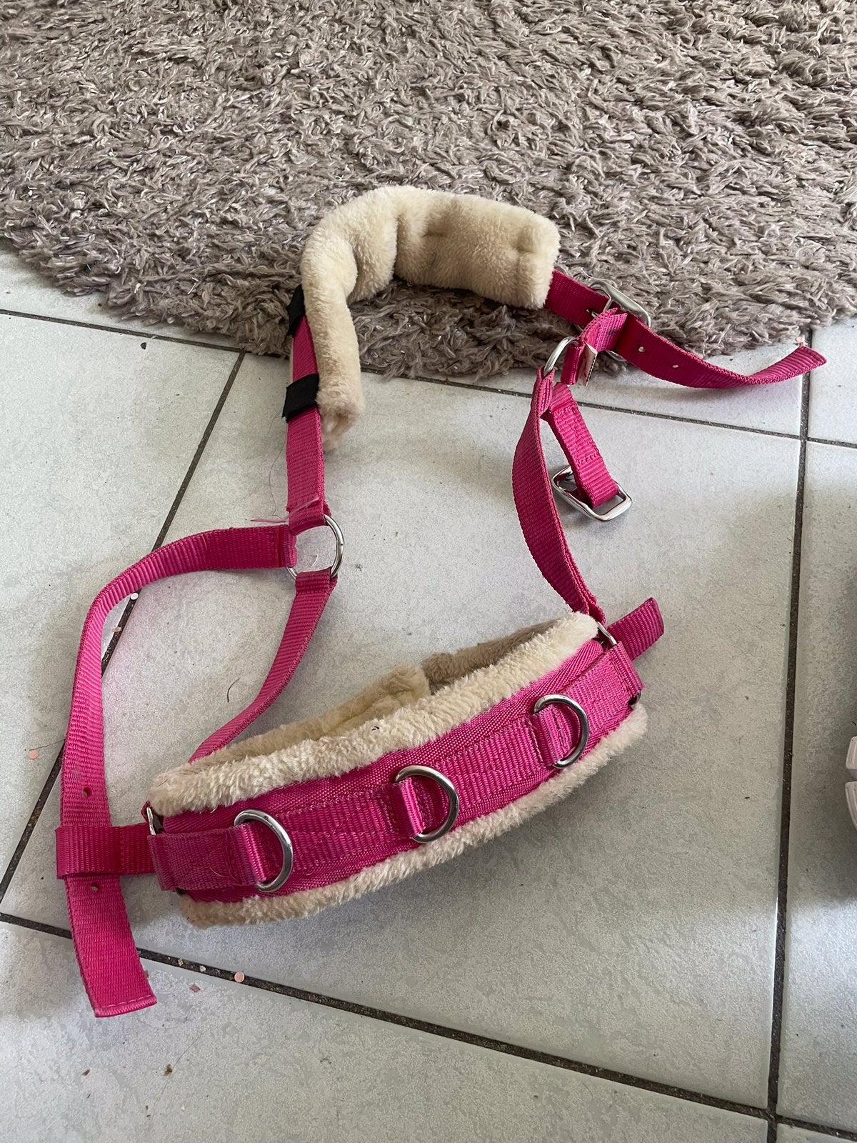 Longeer trainingshalster, Dieren en Toebehoren, Ophalen of Verzenden, Zo goed als nieuw, Roze, Cob