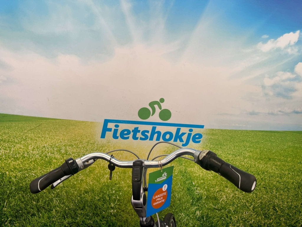 Fietshokje Amersfoort: Gazelle Chamonix herenfiets N8 H65, Fietsen en Brommers, Fietsen | Heren | Herenfietsen, Niet ingevuld