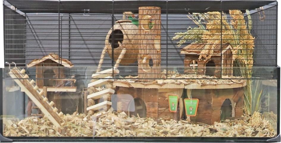 Complete hamster set - hamster met kooi en alle toebehoren, Dieren en Toebehoren, Knaagdieren, Meerdere dieren, Hamster, Januari