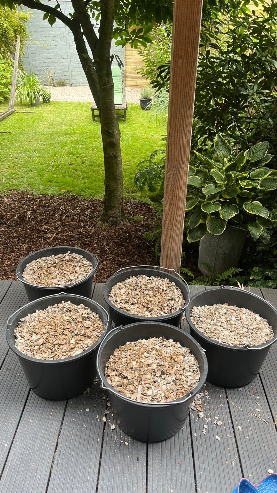 5x 20 liter emmer Schelpen voor tuin of decoratie, Ophalen, Overige materialen, Gebruikt, Overige typen