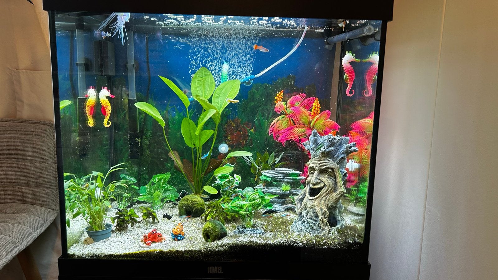 Juwel Lido 120 LED aquarium met meubel & Oase buitenfilter, Ophalen, Zo goed als nieuw, Leeg aquarium