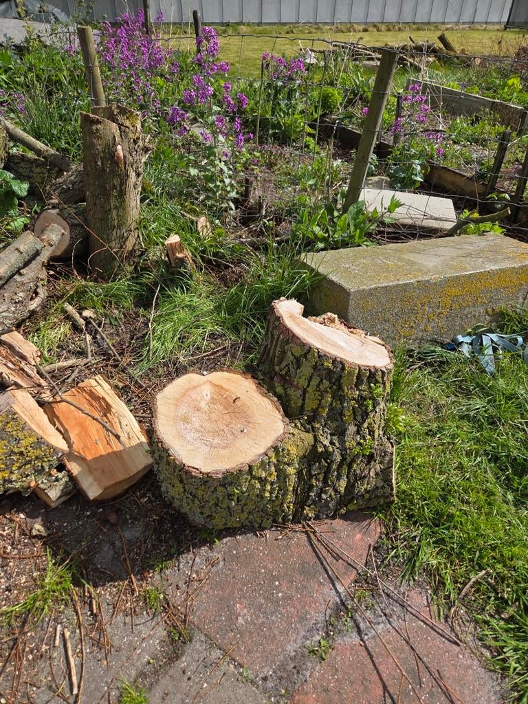Brandhout,  zelf te kloven, Minder dan 3 m³, Ophalen of Verzenden
