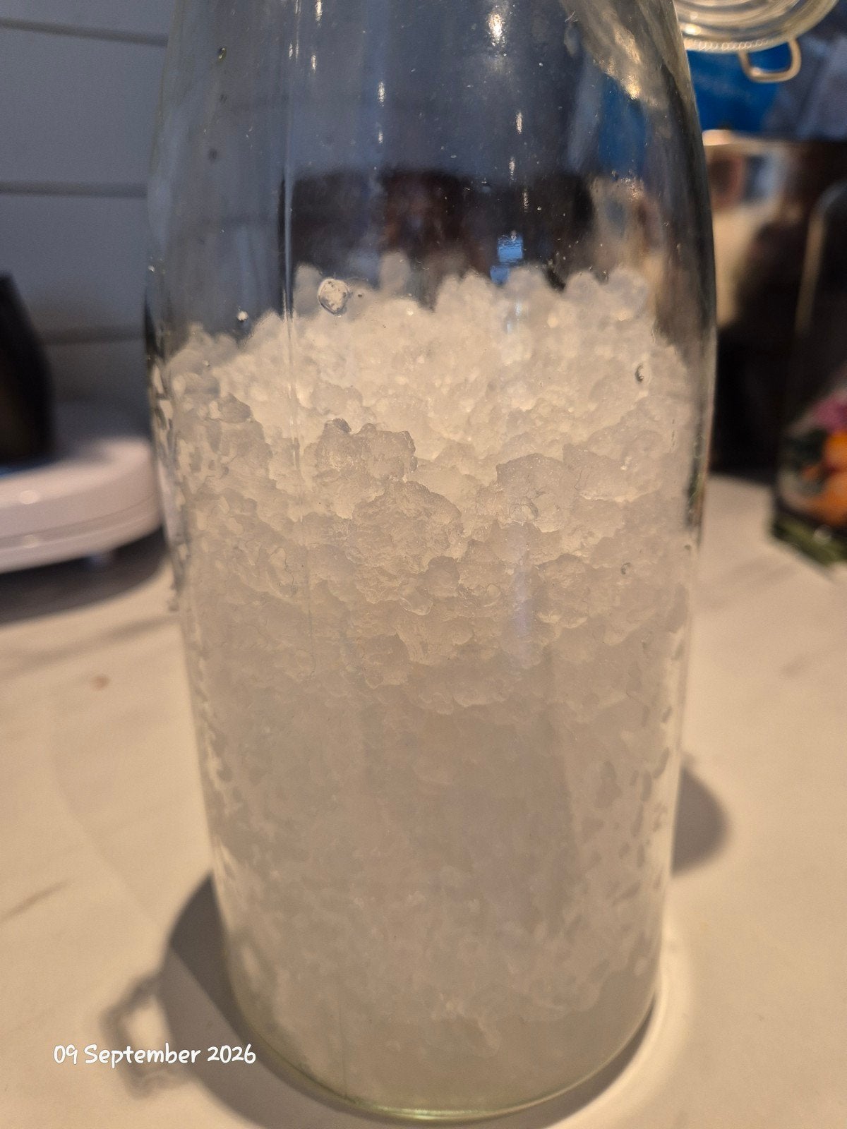 water kefir donation, Ophalen, Theezakje(s)