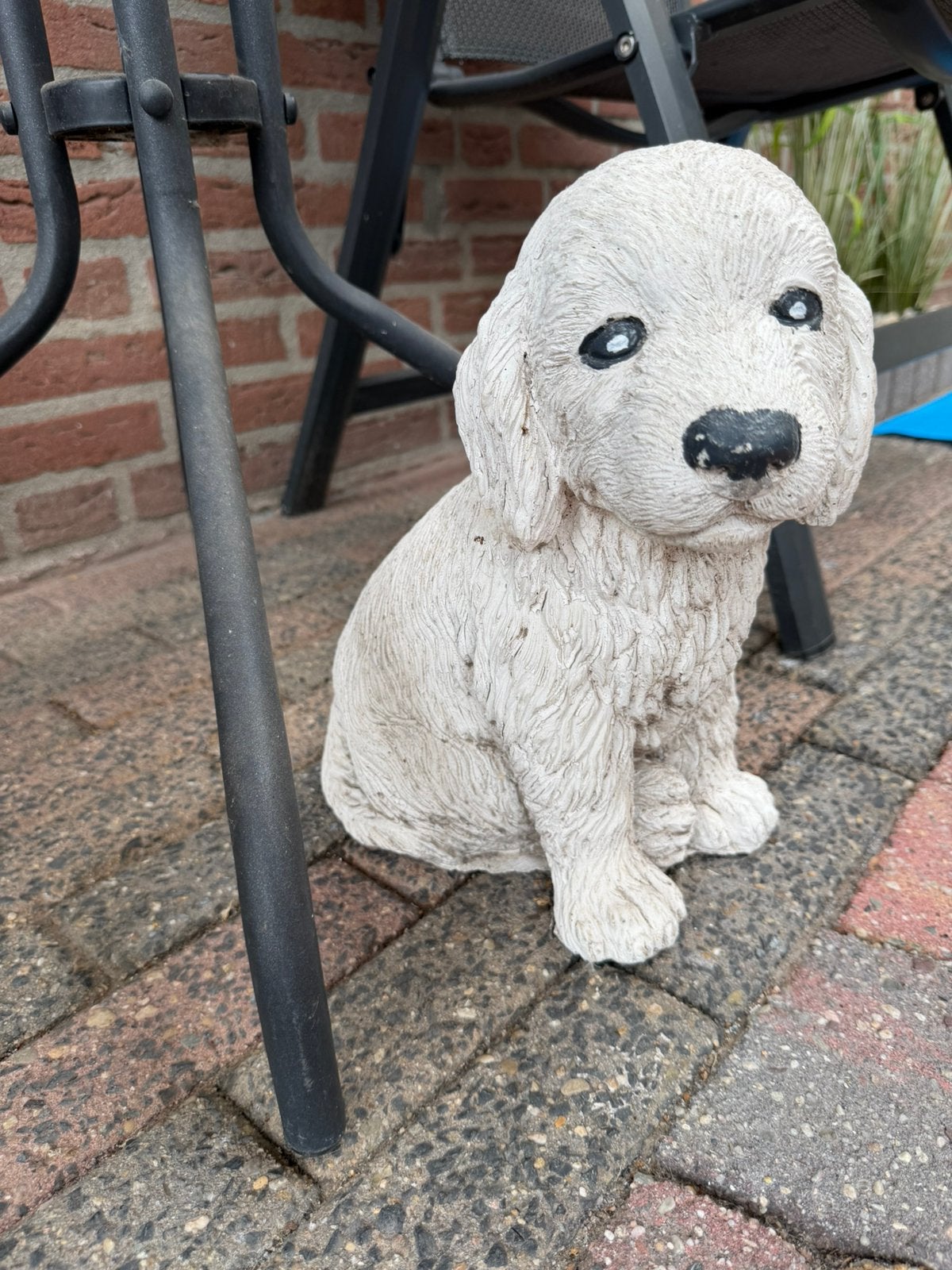 Thuin beeld hond 33 cm hoog, Tuin en Terras, Ophalen, Zo goed als nieuw, Beton, Dierenbeeld