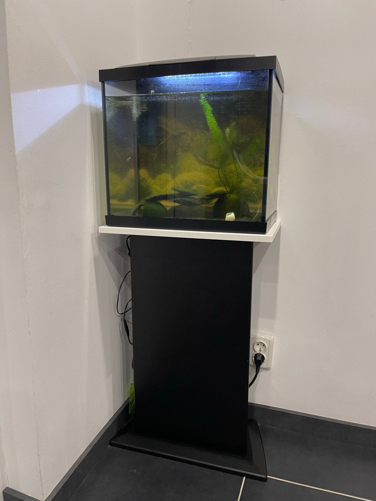 Aquarium met voet, Dieren en Toebehoren, Vissen | Aquaria en Toebehoren, Ophalen, Zo goed als nieuw, Leeg aquarium