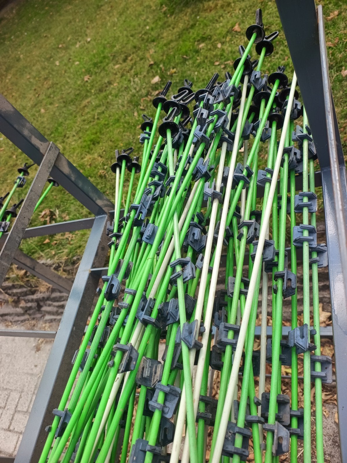 prikpaaltjes, Dieren en Toebehoren