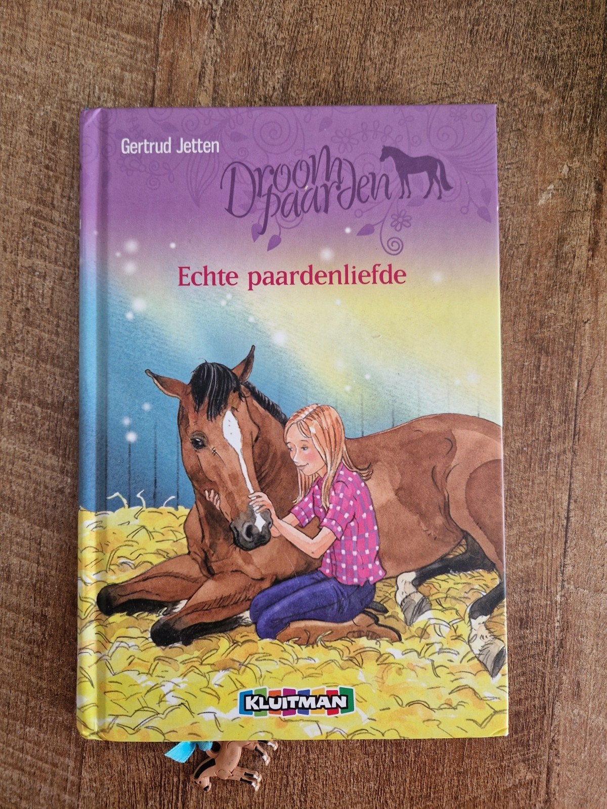 Boek: droompaarden echte paardenliefde, Ophalen of Verzenden, Zo goed als nieuw, Gertrud Jetten, Fictie