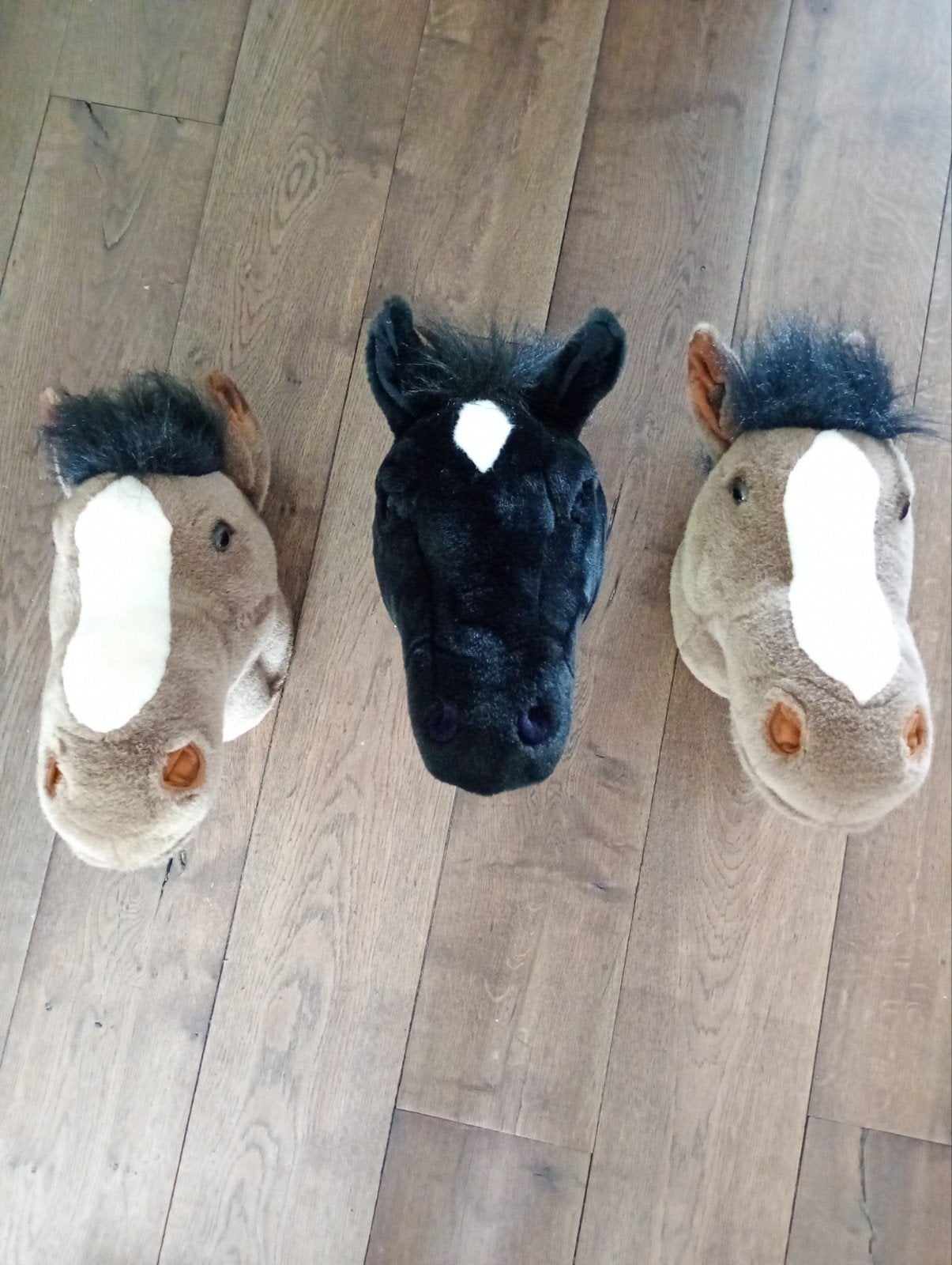 Paardenhoofden voor aan de muur, 3 stuks, Ophalen of Verzenden, Zo goed als nieuw, Jongetje of Meisje, Schoentjes