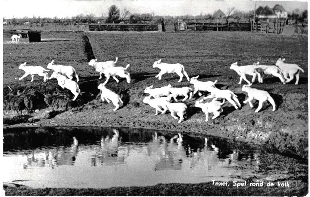 968106	Texel	1960 Rond de kolk	Gelopen met postzegel, Ophalen of Verzenden, 1960 tot 1980, Gelopen, Waddeneilanden