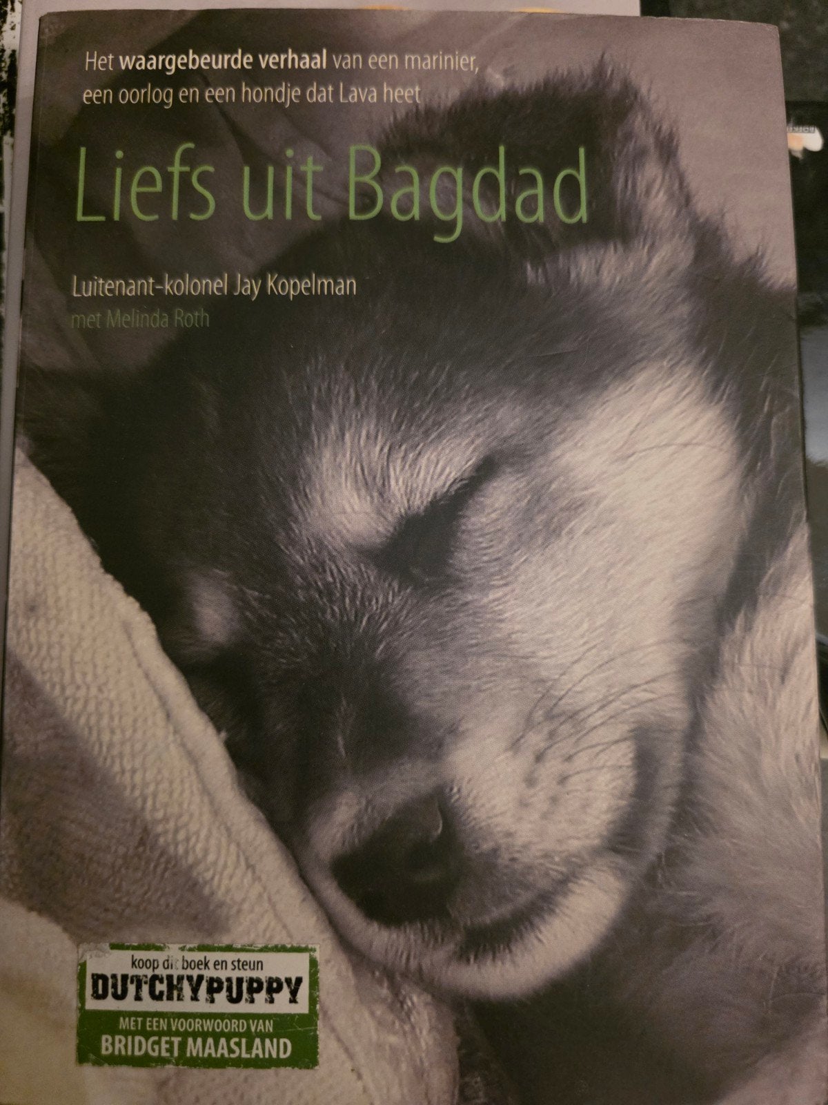 Liefs uit Bagdad: Waargebeurd verhaal over een marinier, Ophalen of Verzenden, Jay Kopelman, Azië, 20e eeuw of later