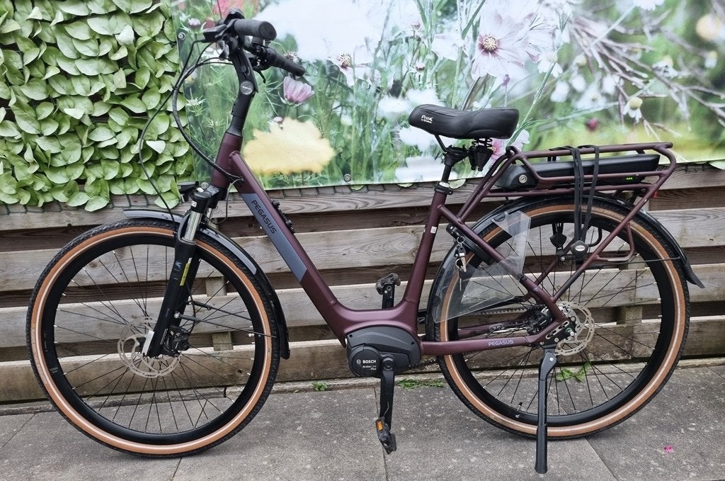 ebike pegasus siena E7f n7 59 cm,belt,  bosch plus 500wh, 56 cm of meer, Zo goed als nieuw, Meer dan 20 versnellingen, Ophalen
