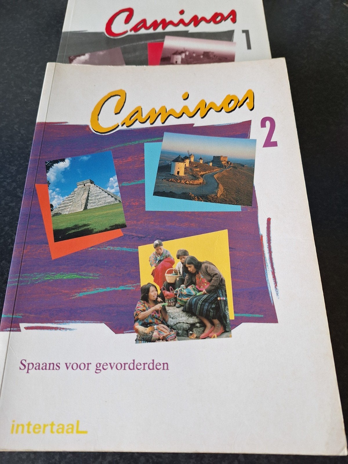Camino's 1 & 2: Spaans voor gevorderden - Intertaal, Ophalen of Verzenden, Gelezen, Intertaal, Non-fictie