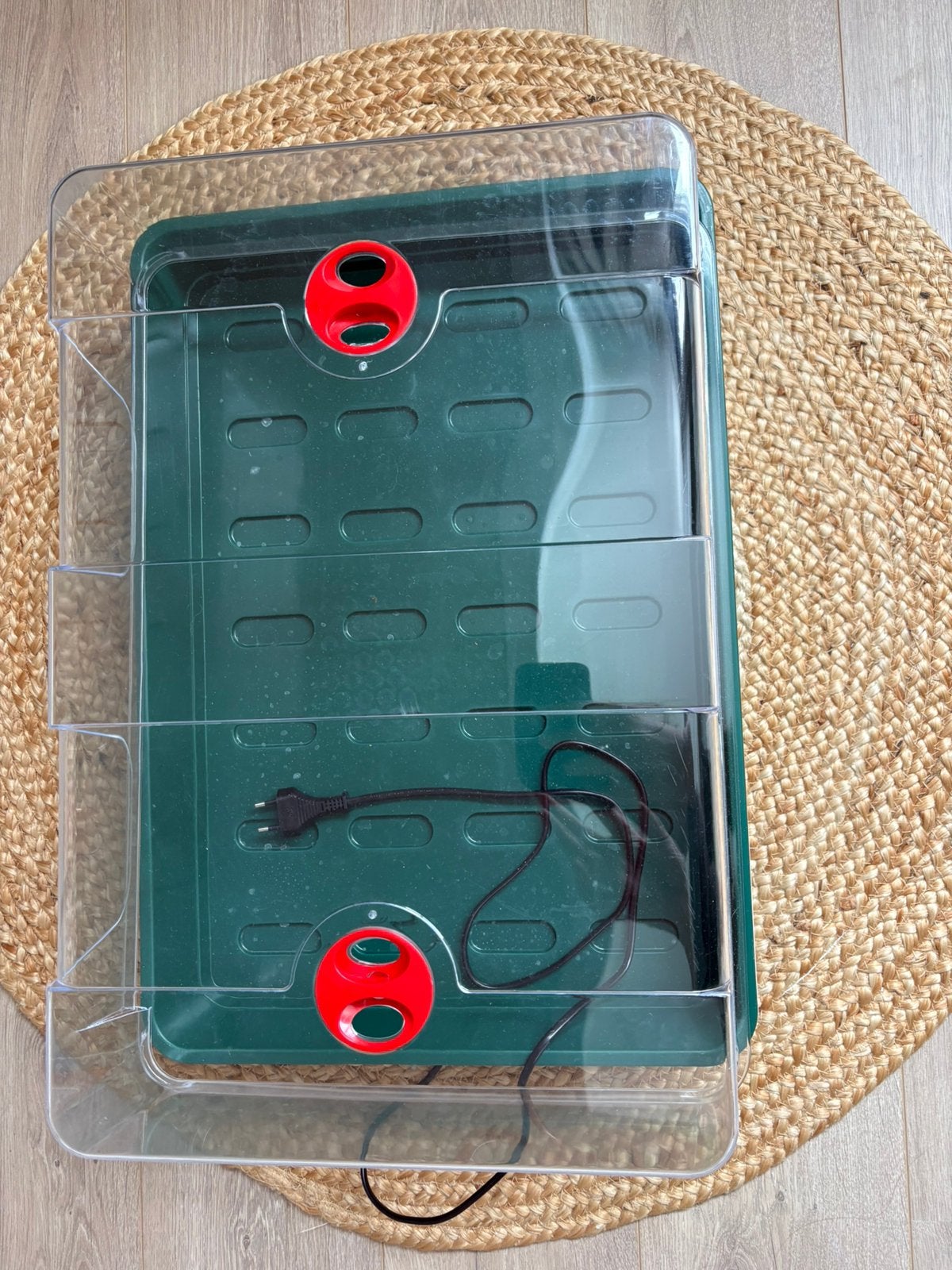 Verwarmde kweekbak/kweekkas met transparante kap, Tuin en Terras, Kweekspullen, Ophalen, Kweekbak