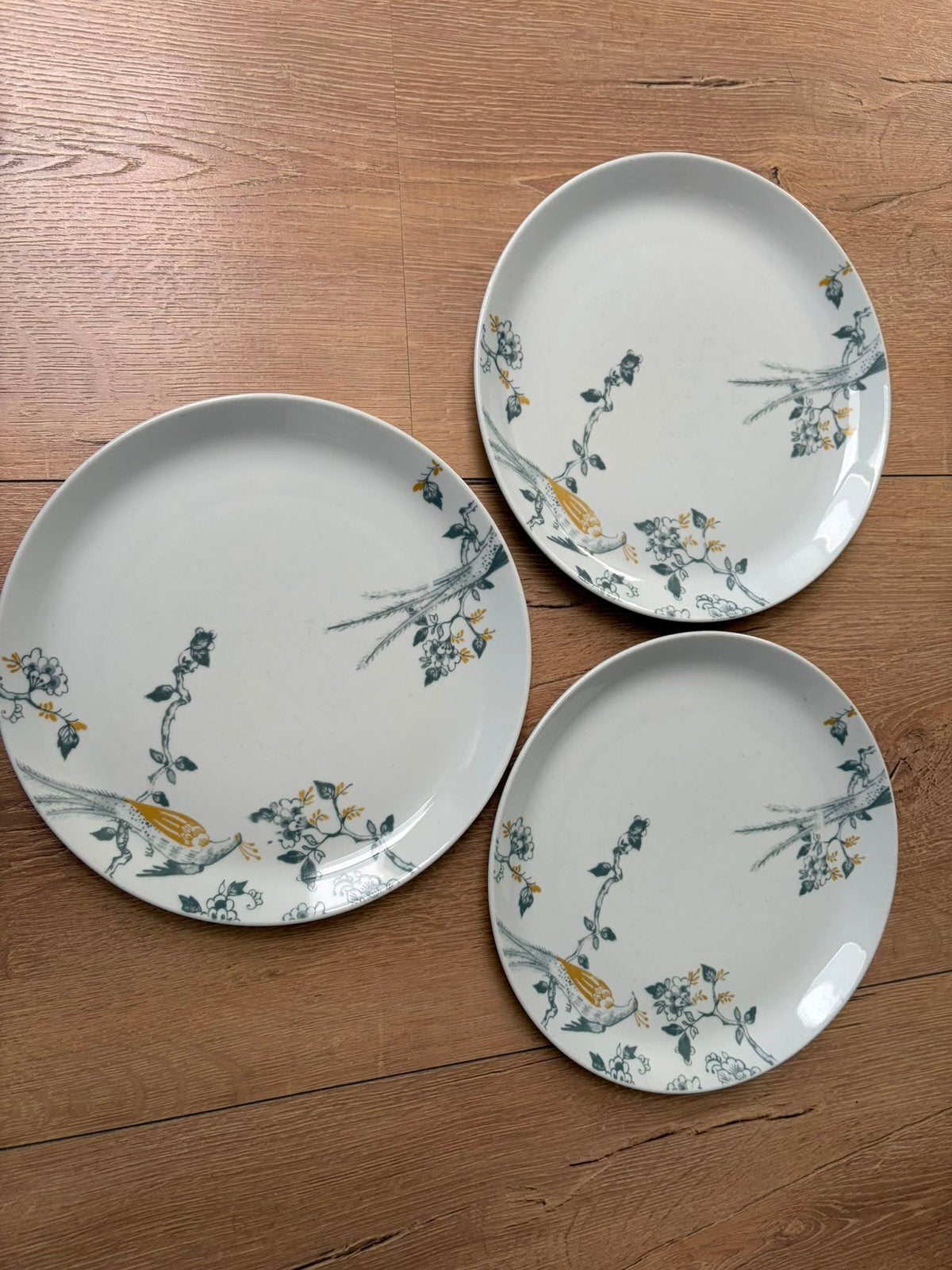 3x Vivo (Villeroy & Boch) limited edition dinerborden, Huis en Inrichting, Keuken | Servies, Gebruikt, Verzenden, Bord(en), Overige stijlen