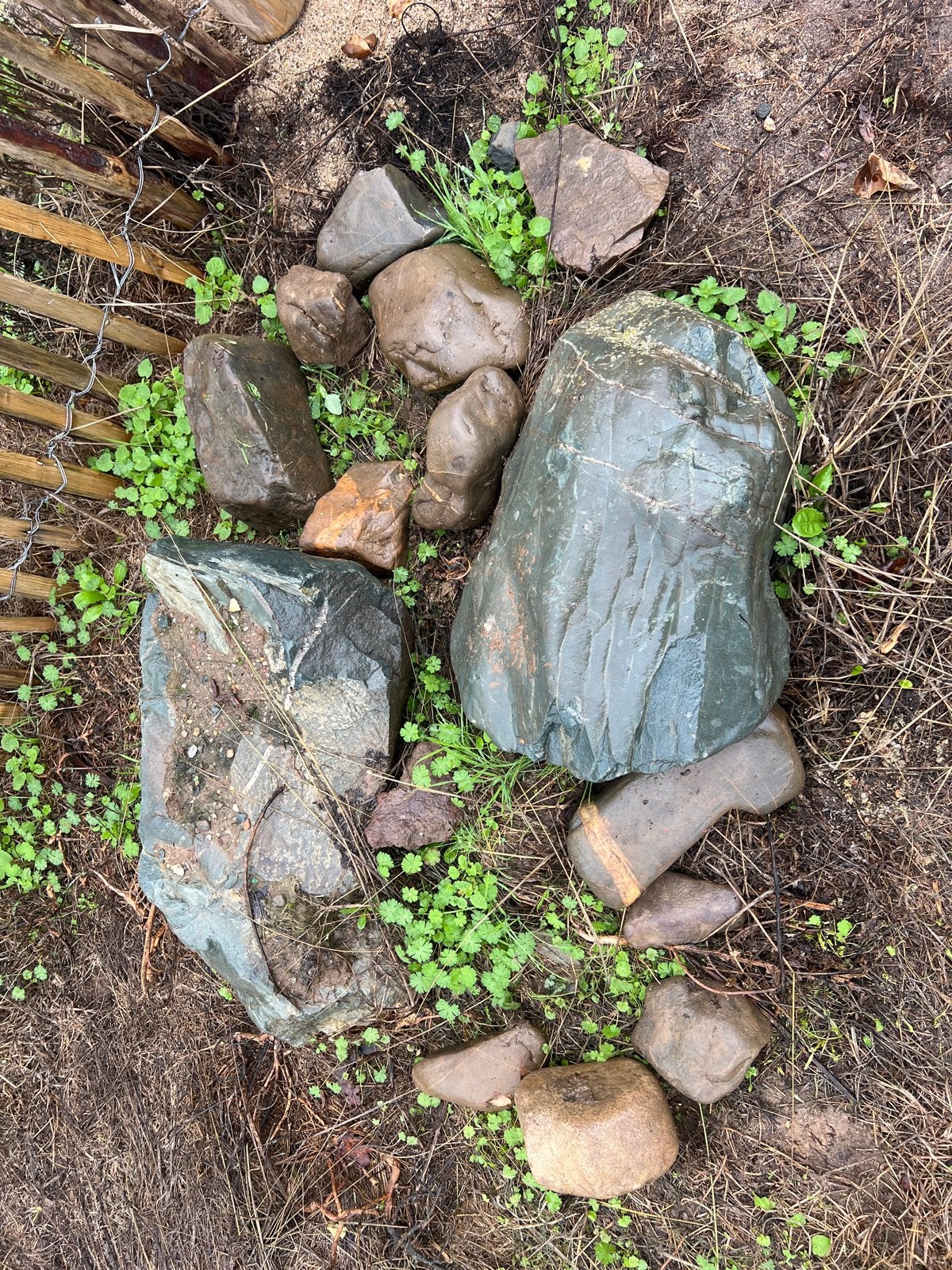 Maaskeien Gratis!- Natuurlijke Decoratie voor Tuin of Vijver, Ophalen, Overige materialen, Gebruikt, Kei