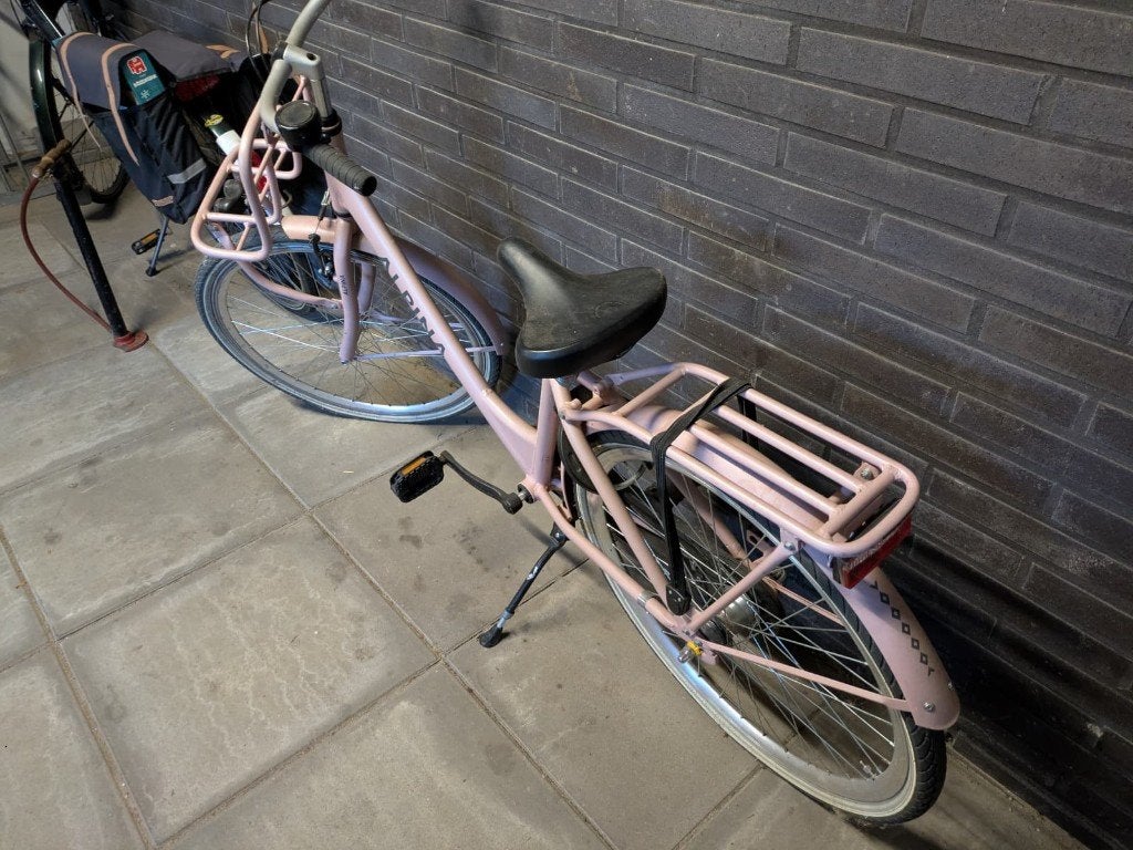 Roze fiets, Ophalen, Terugtraprem, 24 inch, Alpina