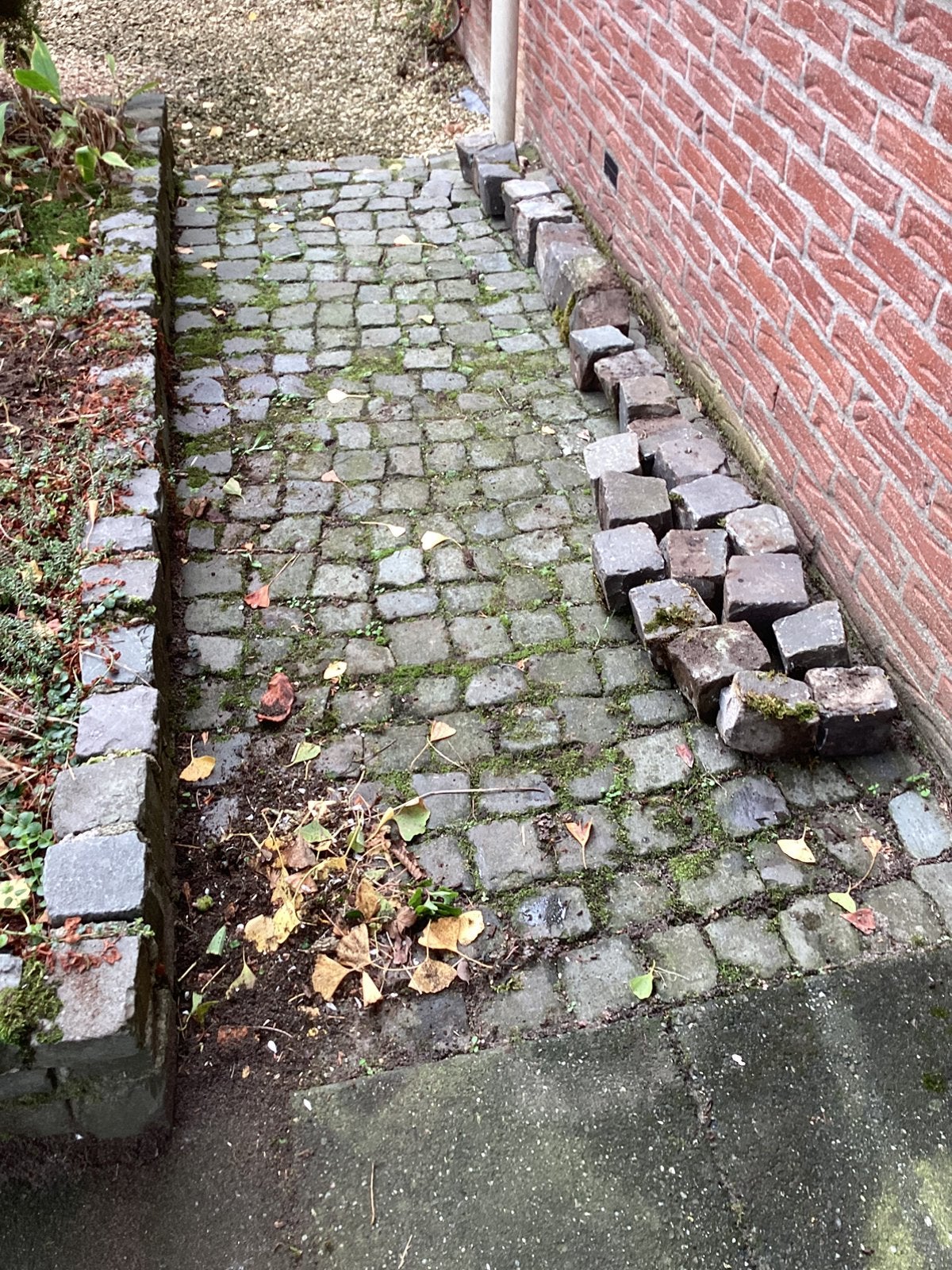 Gratis af te halen kinderkopjes, Ophalen of Verzenden, Zo goed als nieuw, Beton, Klinkers