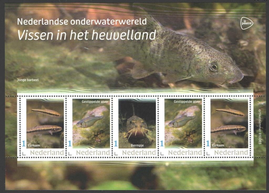 Nederlandse Onderwaterwereld: Vissen in het heuvelland, Ophalen of Verzenden, Na 1940, Postfris