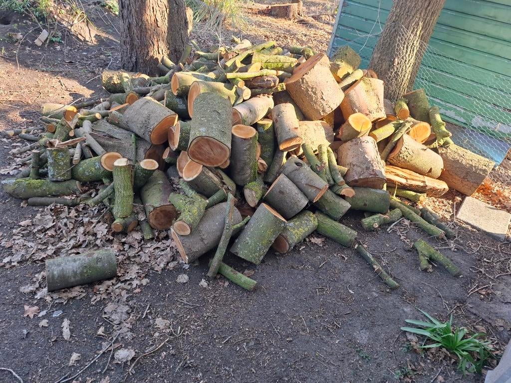 blokken gemixt hout, Tuin en Terras, Minder dan 3 m³, Ophalen