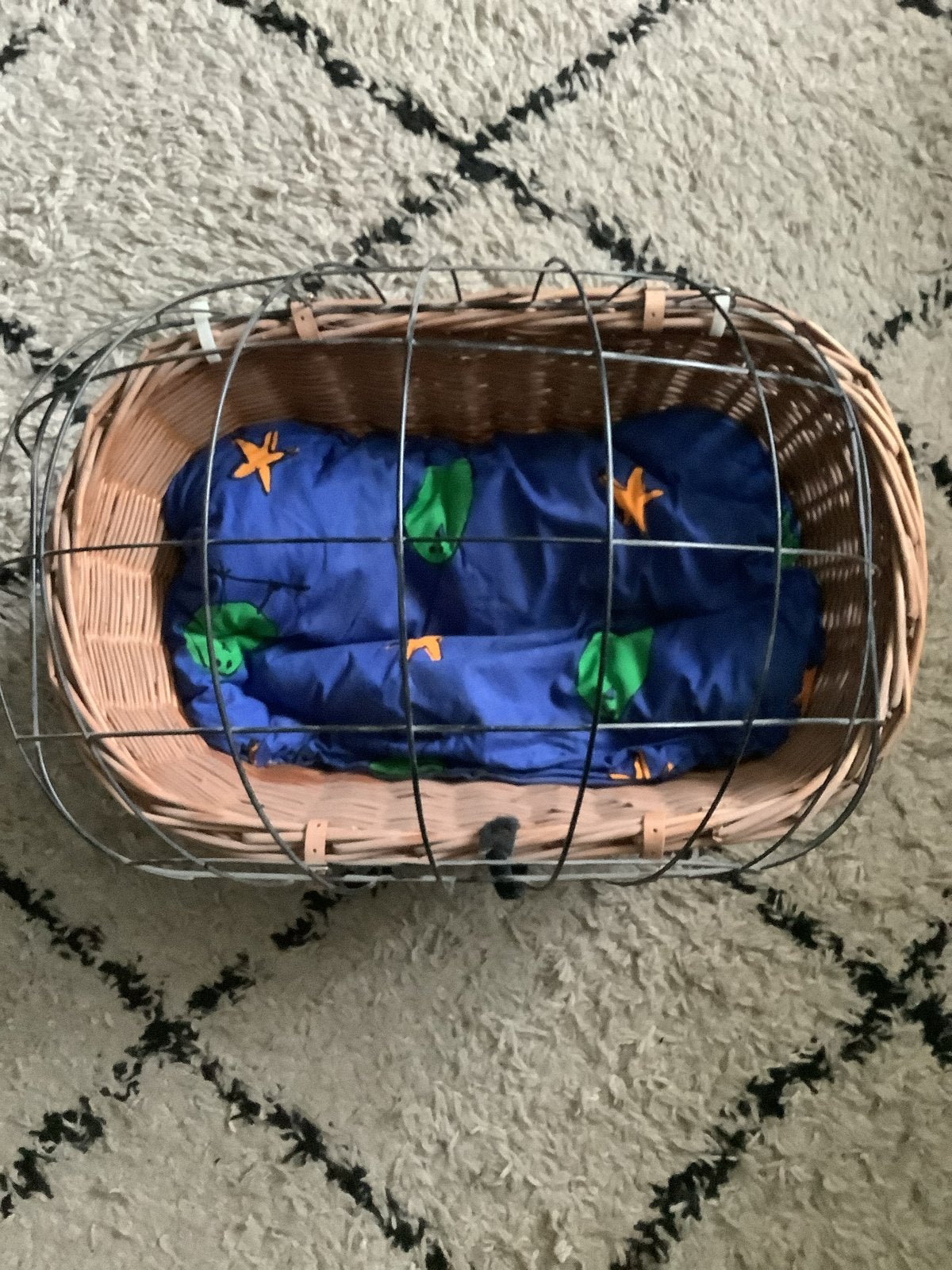 Honden fietsmand - Ideaal voor kleine honden, Ophalen of Verzenden, Zo goed als nieuw, Hondenkar, Minder dan 20 kg
