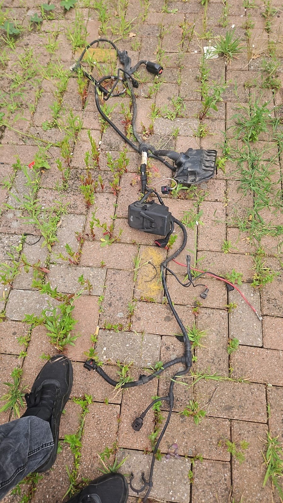 Wide band kabelboom Bosch ME 7.5 voor VAG 1.8 20VT AUQ, Ophalen of Verzenden, Gebruikt, Seat