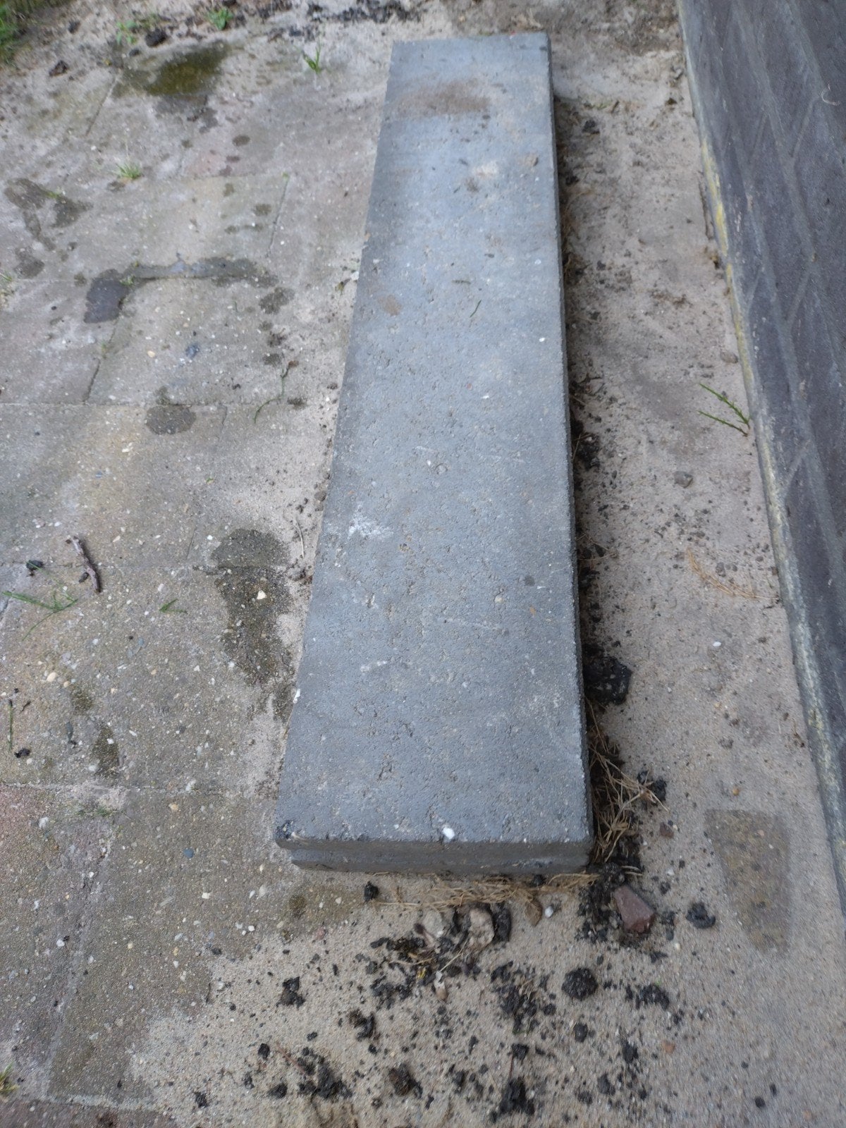 Gratis: opsluitband, 8cm dik, Tuin en Terras, Ophalen, 100 tot 200 cm, Overige typen, Zo goed als nieuw