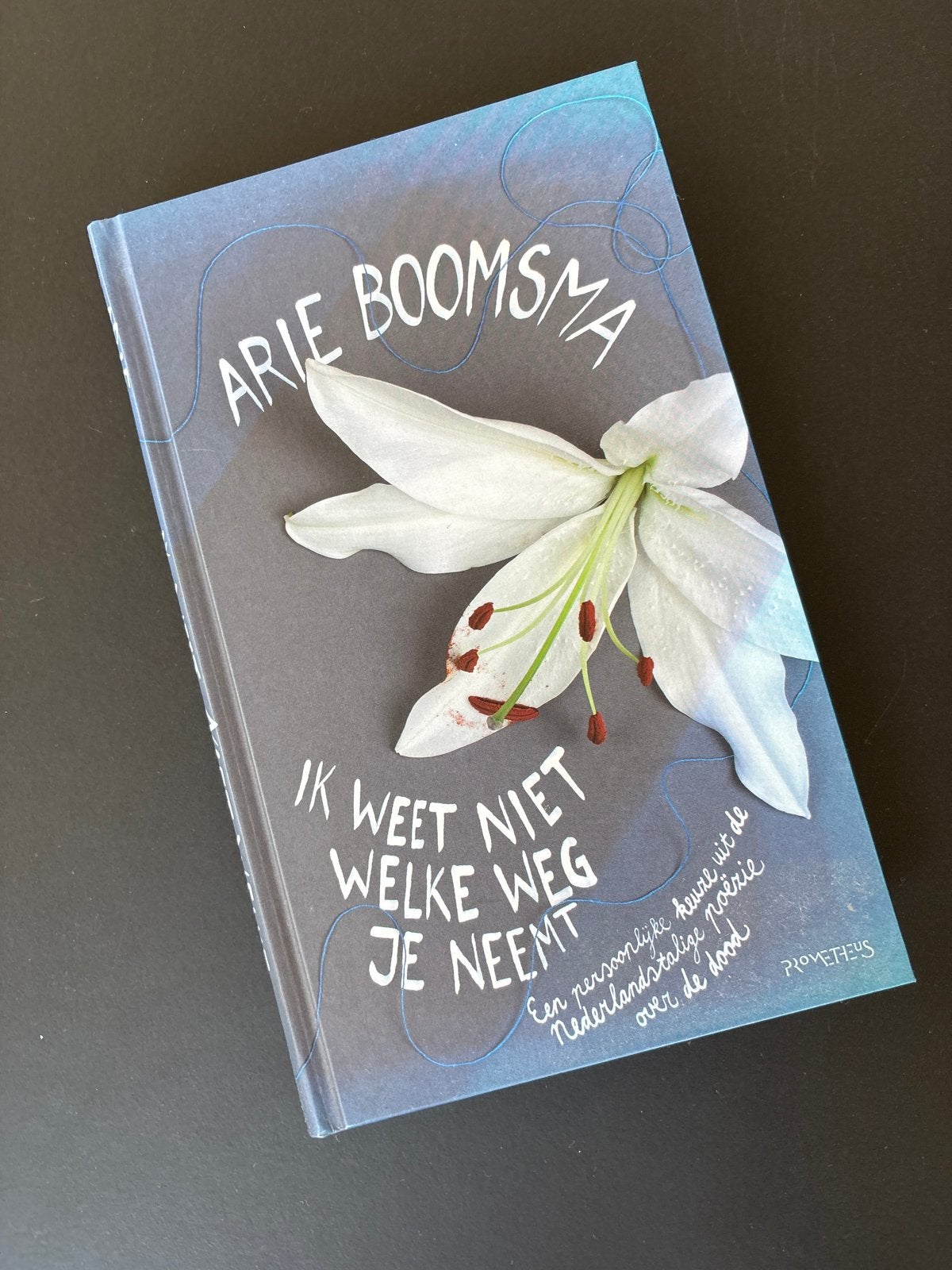 Arie Boomsma - Ik weet niet welke weg je neemt, Ophalen of Verzenden, Zo goed als nieuw, Nederland