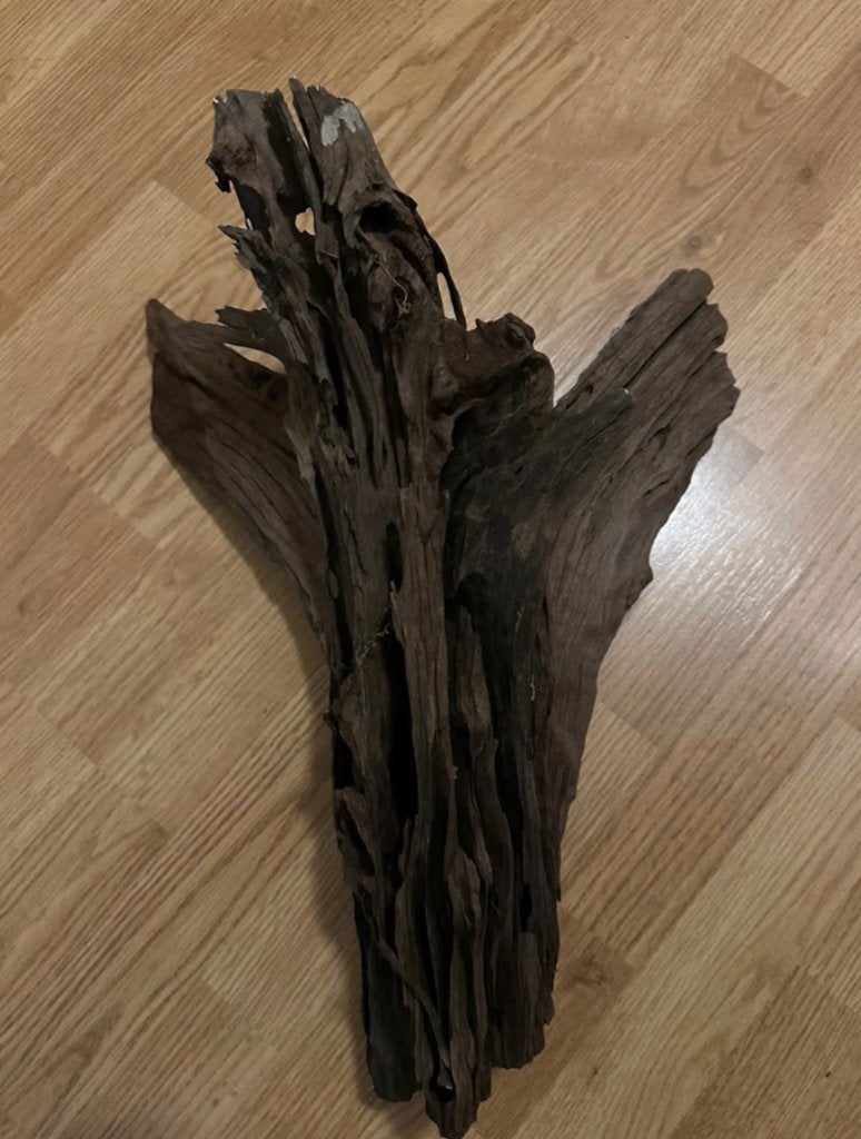 Groot stuk kienhout 45cm, Ophalen of Verzenden, Plant(en), Steen of Hout