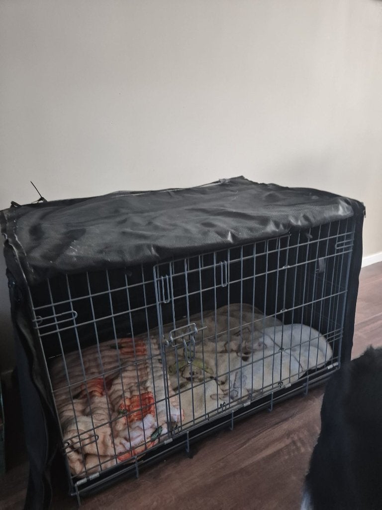Honden Bench + Hoes (Adori), Ophalen, Minder dan 65 cm, Hondenhok, Zo goed als nieuw