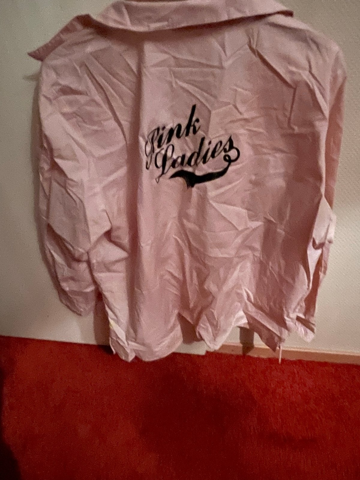 Roze Pink Ladies Blouse Maat XL, Kleding | Dames, Ophalen of Verzenden, Gedragen, Maat 46/48 (XL) of groter