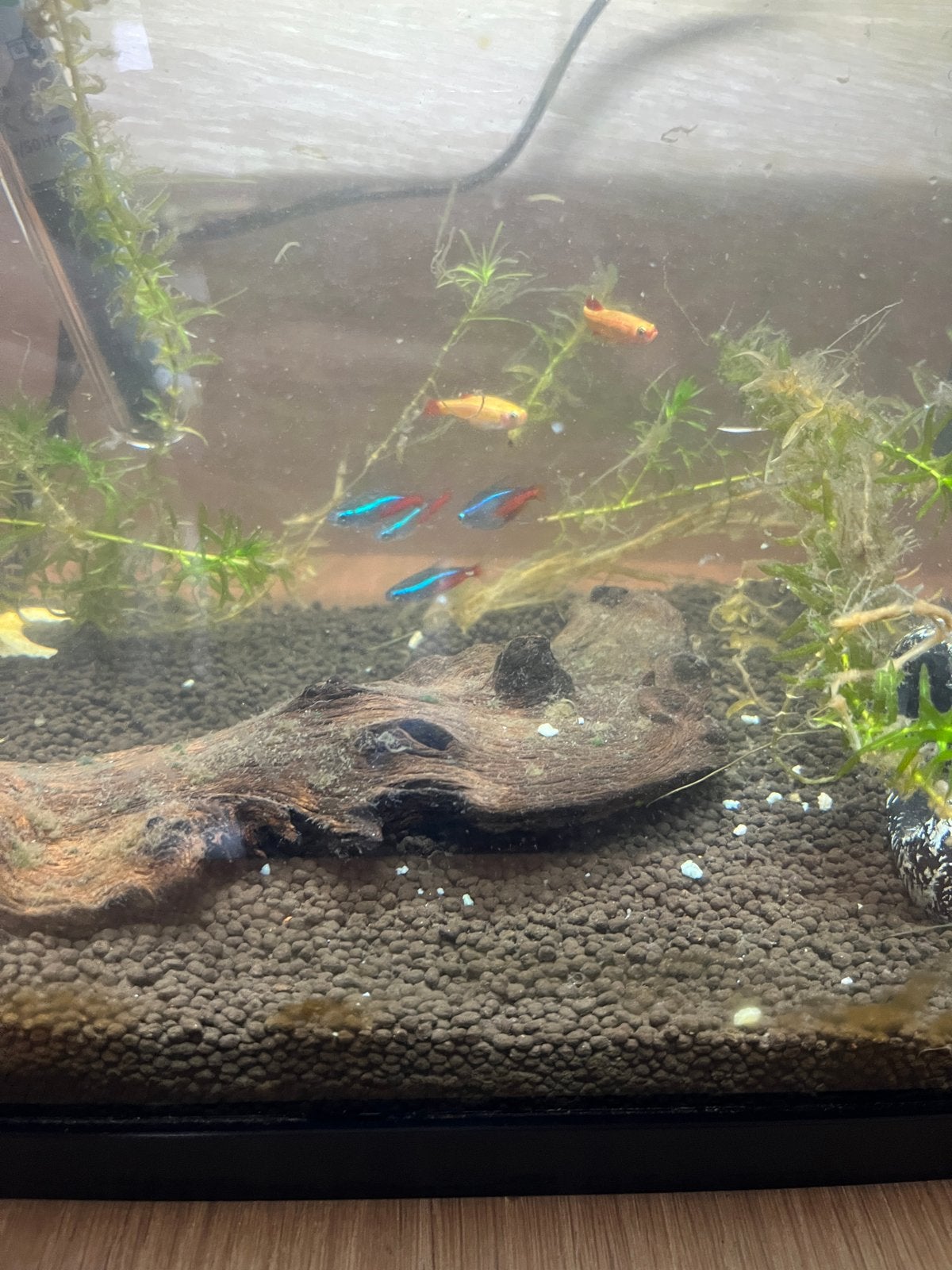 Superfish Start 30 Tropical Kit, Dieren en Toebehoren, Ophalen, Zo goed als nieuw, Leeg aquarium