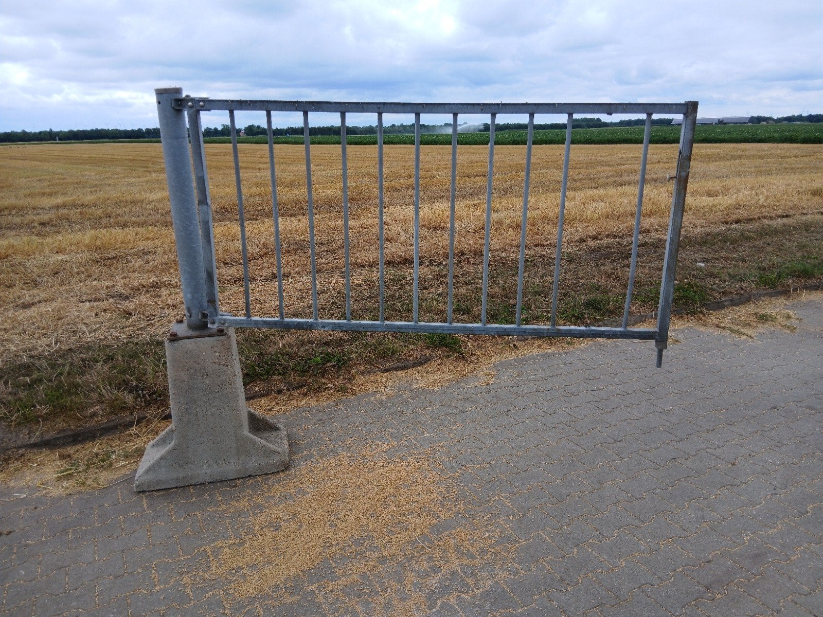 Landhek/Tuinhek, Tuin en Terras, Tuinpoorten, Ophalen, Zo goed als nieuw, 150 tot 200 cm, IJzer