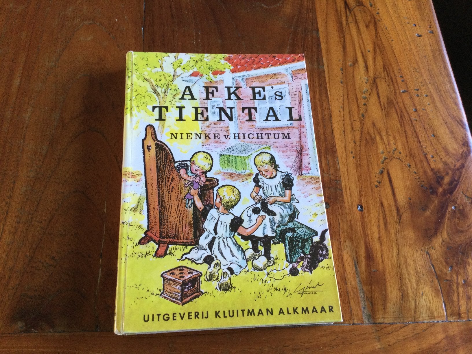 AFKE’S TIENTAL VAN NIENKE VAN HICHTUM, Ophalen of Verzenden, 20e eeuw of later, Gelezen