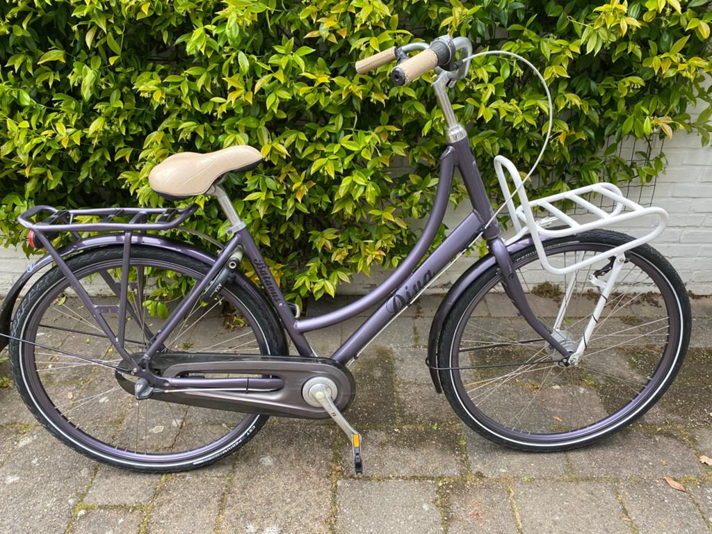 Batavus Diva, Ophalen, Terugtraprem, Versnellingen, Batavus