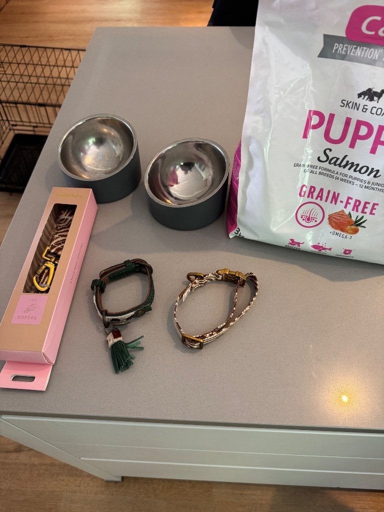 Alle toebehoren klein hondenras halsband bench voer, Dieren en Toebehoren, 8 tot 15 weken, Eén hond, Nederland, Particulier
