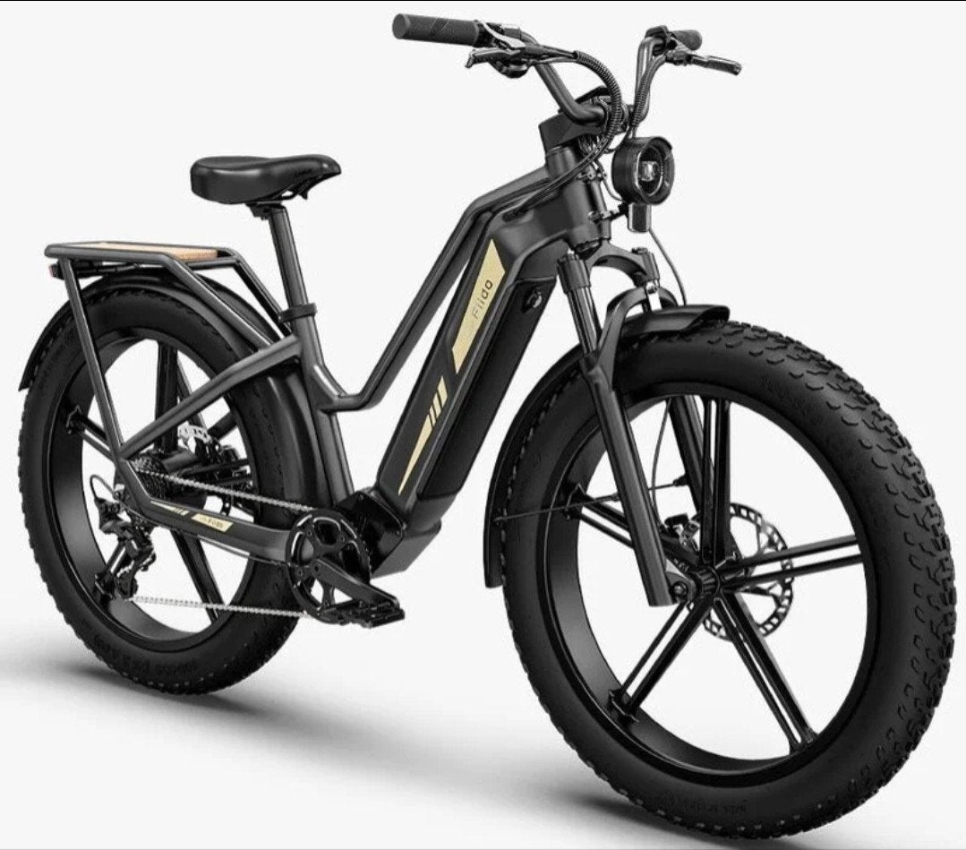 Fiido Titan Tourbike, Ophalen, Zo goed als nieuw, 50 km per accu of meer, Overige merken