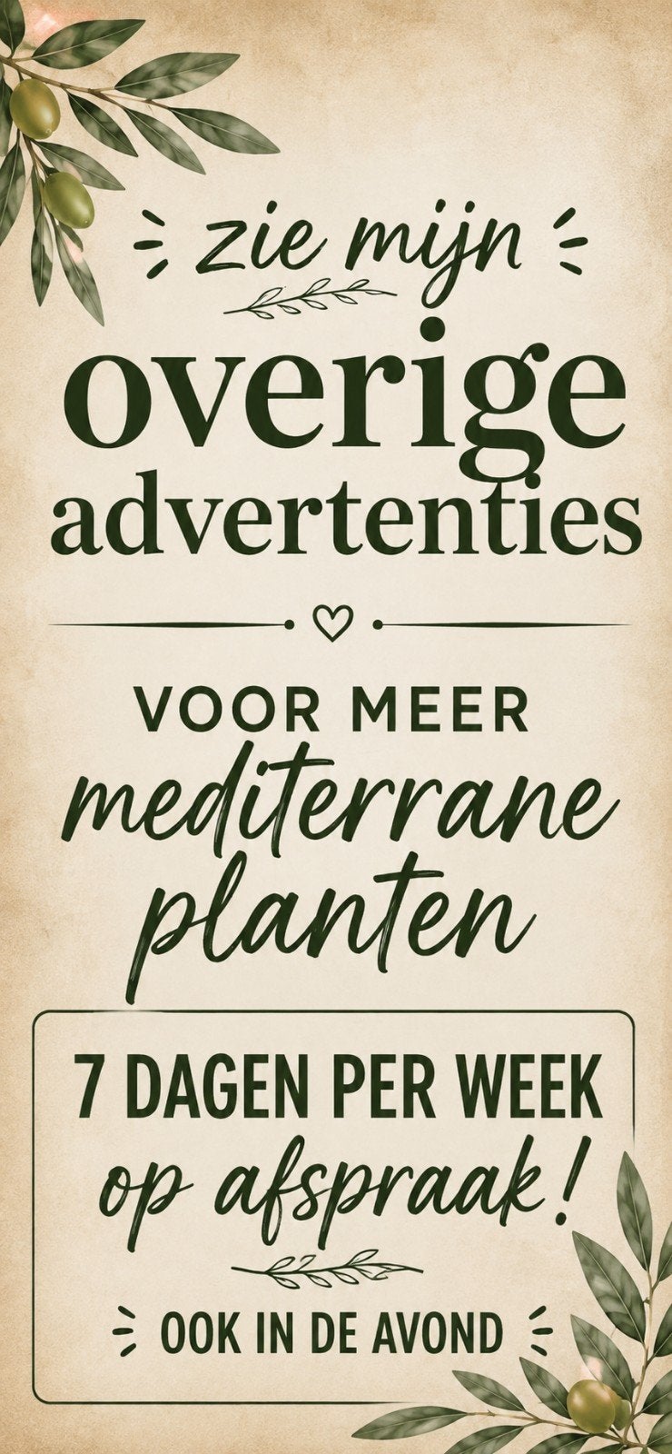 Trachycarpus Fortunei Palmbomen  Nederlandse  Kweek Zevenaar, Verzenden, Vaste plant, Overige soorten, Halfschaduw