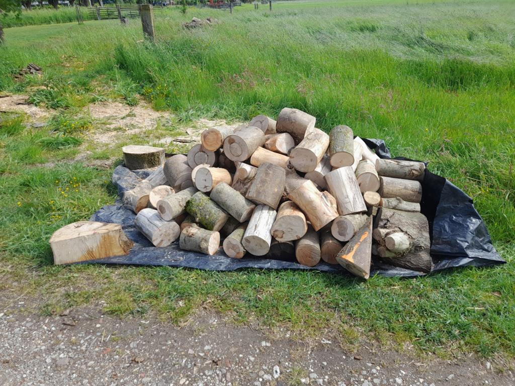 Mooie haardhout blokken,essenhout,zo goed als droog., Minder dan 3 m³, Ophalen