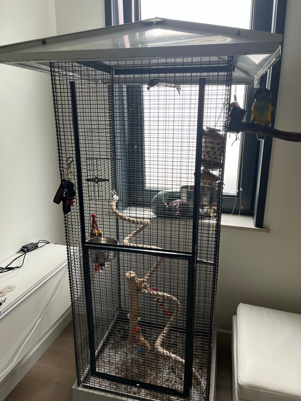 GRATIS Grote Vogelkooi!! MOET ZSM WEG, Ophalen, Gebruikt, Metaal, Vogelkooi