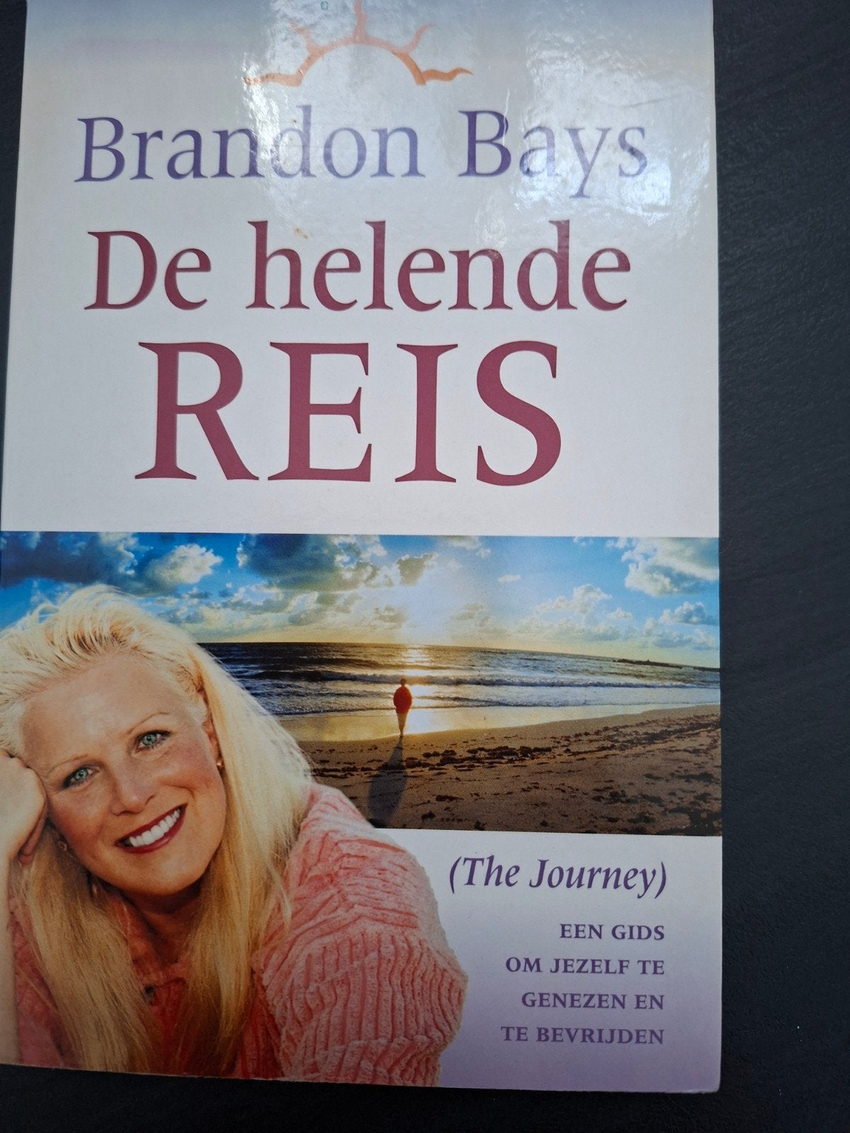 Brandon Bays - De helende reis, Boeken, Brandon Bays, Ophalen of Verzenden, Zo goed als nieuw, Natuurwetenschap