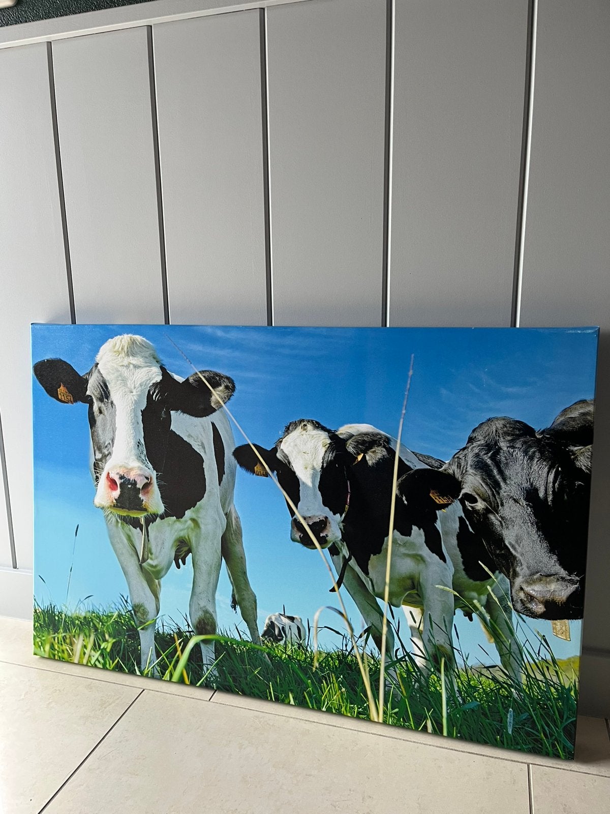Canvas schilderij met koeien - Landelijk decor, Ophalen of Verzenden, Zo goed als nieuw, 75 tot 100 cm, Schilderij