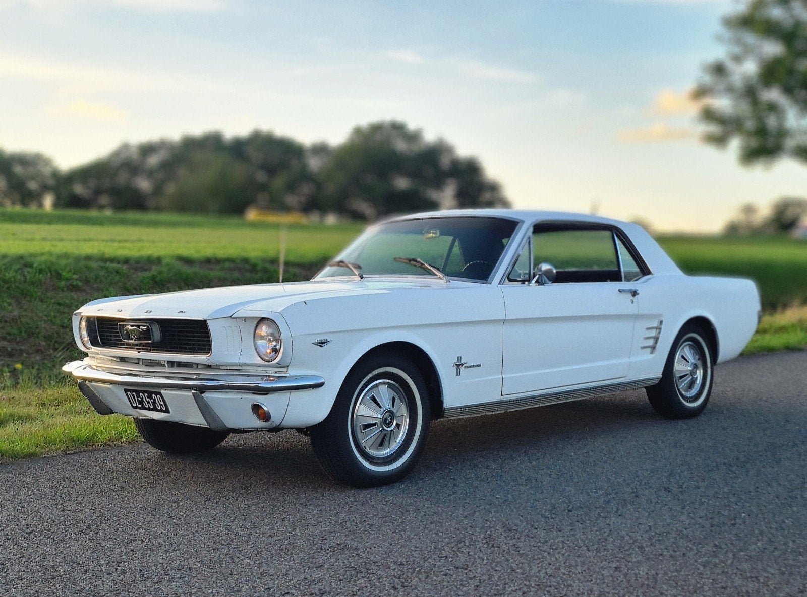 Ford Mustang 289 V8 1966 AC car Californië, Automaat, 4733 cc, Zwart, Wit