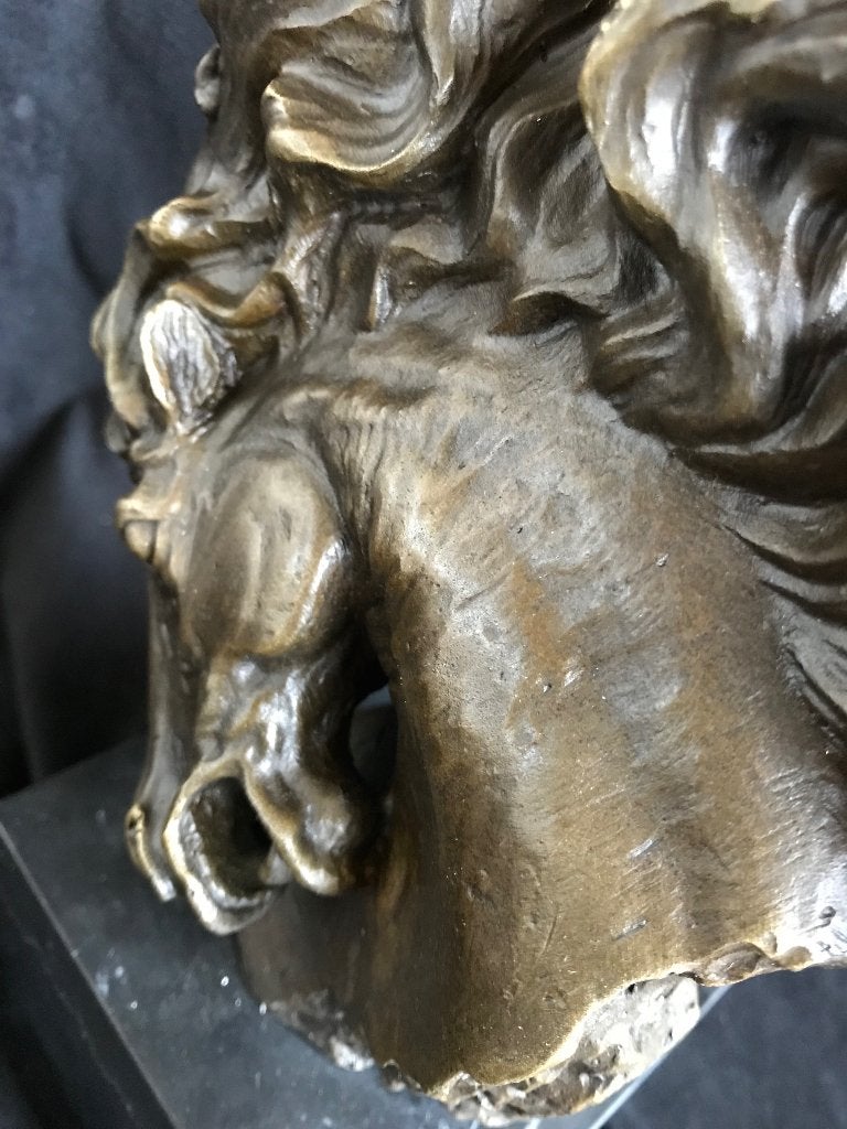 Paarden hoofd brons, Ophalen of Verzenden, Gemerkt, Brons, Beeld